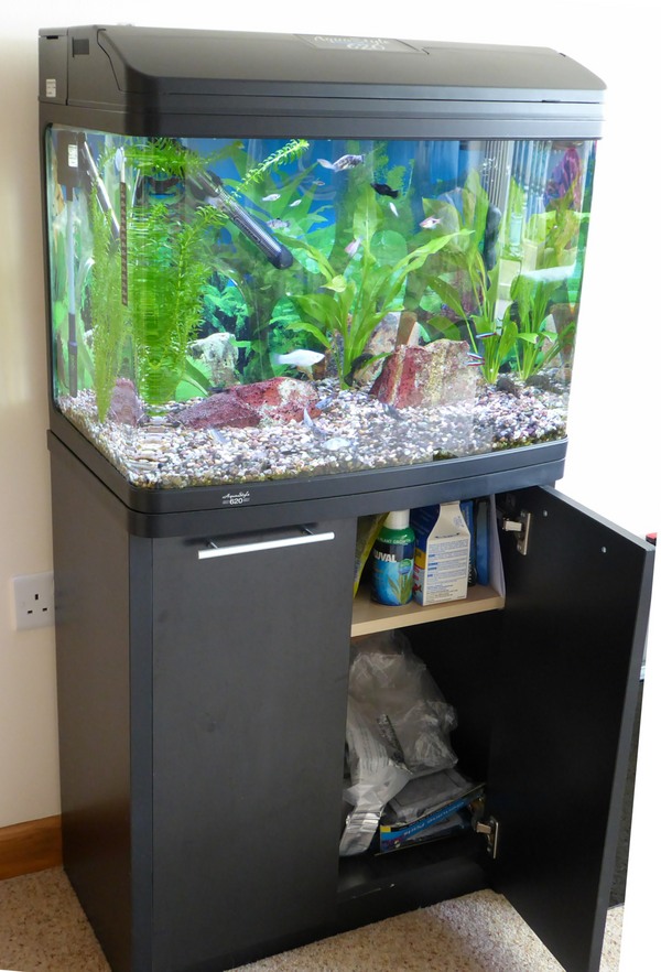 90 litre fish tank