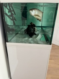 6ft x2x2 tank and cabinet for sale. £400