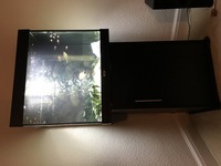 Juwel Lido 200 Aquarium (Black) plus Cabinet- £250