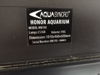 Aquarium and Fish for Sales COLLECTION ONLY