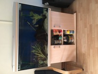 For Sale: 4ft Rena Tank, Stand, light unit and Eheim Filter
