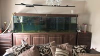 Large 8 x 2 x 2.5 marine aquarium with metal stand and sump