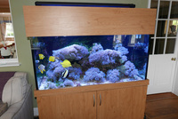4x2x2 Full Marine System for Sale