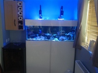 Full marine aquarium setup