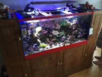 4ft Marine tank and sump and cabinet FOR SALE