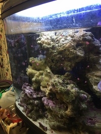 Marine tank x 2 and accesories