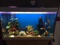 350ltr fish tank