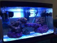 120L Interpet Aquarium with Power Filter- 3 weeks old