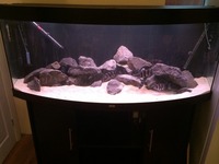 Juwel Vision 450 Fish Tank and Stand Only only £275