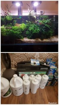 General planted fish tank equipment, products & fish