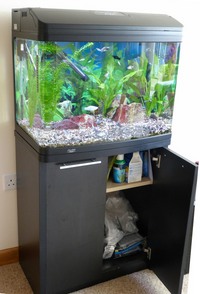 Aqua One 620T 90 litre tank on Black 2 door Cabinet with Fish & accessories