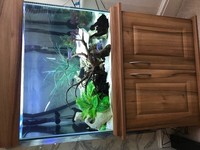 250 litre tank with all equipment and accessories