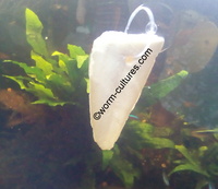Sinking Cuttlefish ~ Suitable for all Tropical & Cold Water Tanks ~ Shrimp ~ Snails ~ Etc