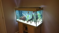 ####SOLD#### Aqua One 300 litre full Tropical Freshwater set up for sale £300 ono