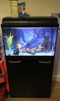 50L Aqua-tropic tank & stand with fish, heater, pump etc ONLY £50
