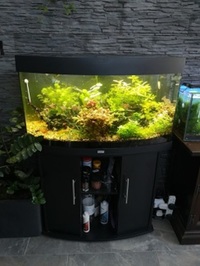 Fish tank full set up