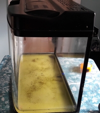 NOW SOLD---80 Litres(18 Gallons) Bow Fronted 63cm Aquarium with Hood--Leeds--ono £35 or make me an offer(must go anyway)