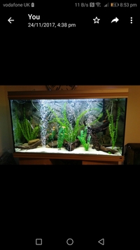 4 ft fish tank with stand for sale