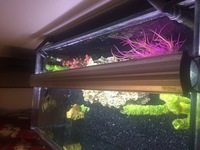 3ft clear seal open top fish tank set up £150