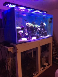 5ft and 3ft fish tank breakdowns