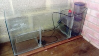 Marine Tank + 3ft Sump + protein Skimmer and few extras - £200