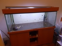 5x2x2 Tank and Cabinet - £150