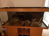 Juwel Rio 450 litre aquarium with stand and accessories