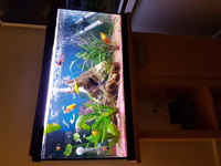 Complete fish tank set up for sale