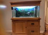 For sale fish tank and accessories
