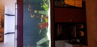 35 inch by 25 inch by 23.5 inch tropical tank full set up 350 ono