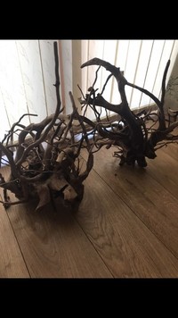 2 large pieces of bogwood for sale