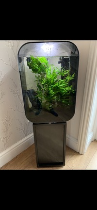Biorb Life 60 - modified for sand w-mech filter with stand
