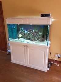 4ft - 270 Litre full setup marine saltwater reef tank complete with cabinet and sump