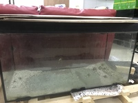 3ft tank with sump