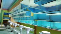 360 commercial aquariums and more
