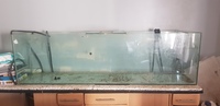 7ft fish tank for sale