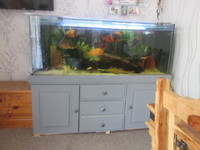 5x2x2 fish tank and stand