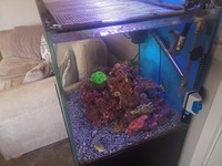TMC SIGNATURE 600 COMPLETE REEF SYSTEM WITH FISH AND CORALS - OFFERS OVER £150.00