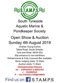 STAMPS Open Show & Auction Sunday 4th August 2019