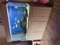 600 litre fish tank