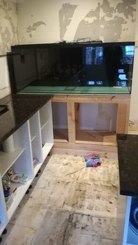 NEW unused 5ft custom tank and homemade solid stand