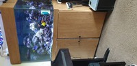 3 ft marine aquarium and cabinet with sump and centre weir