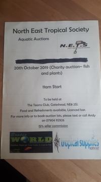 1 WEEK TO GO  N.E.T.S. AQUATICS CHARITY AUCTION (FISH AND PLANTS ONLY)