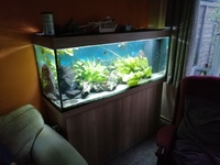 Juwel Rio 450 fishtank and all the trimmings