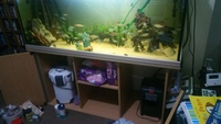 Fish tank and accesories