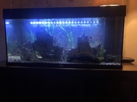 Tank and accessories for sale