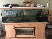 6ft6 Rena Tank, Cabinet and lighting