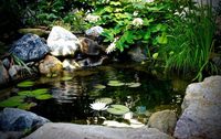 WORCESTERSHIRE POND CLEANING AND MAINTANCE SERVICE