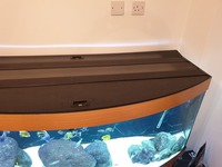 Juwel Vision 450 5ft fish tank + FX6 Filter