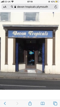 Vacant fish shop / Commerical premises available To Let